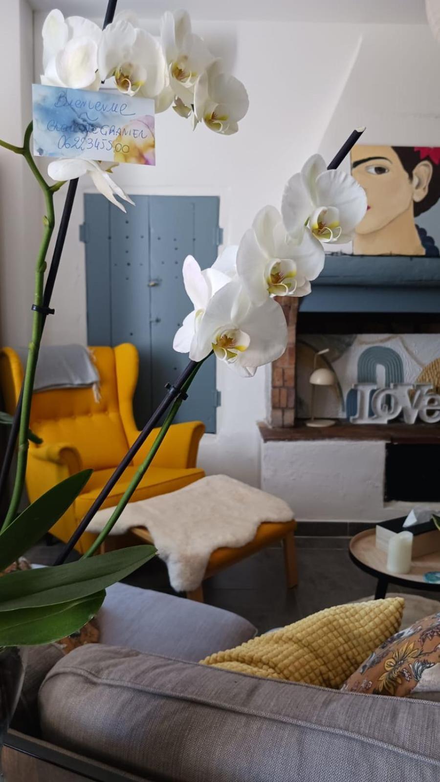 L'Appartement De L'Arche Châteauneuf-de-Gadagne エクステリア 写真